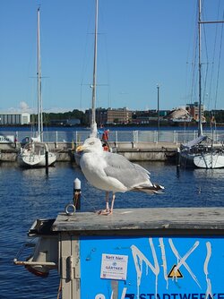 20250823_164001.JPG
