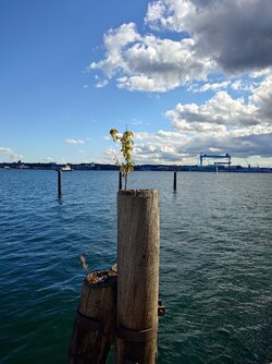 20250823_160639.JPG