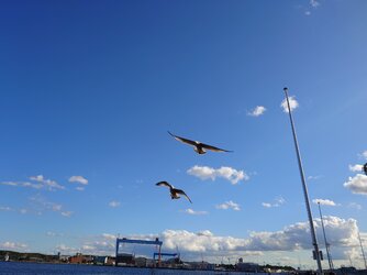20250823_172900 (1).JPG