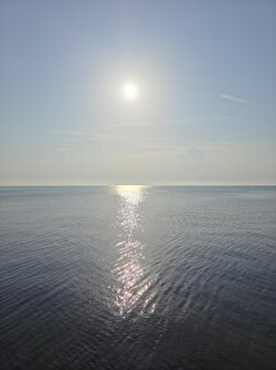 20250815_082451.jpg