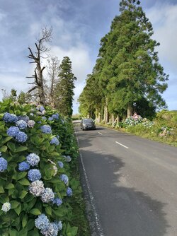 IMG_20250823_171336.jpg