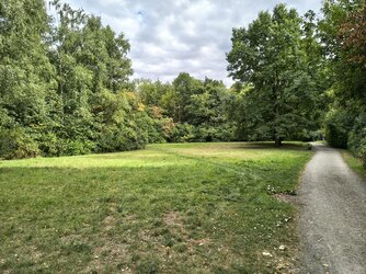 IMG_20250823_172748202_HDR.jpg