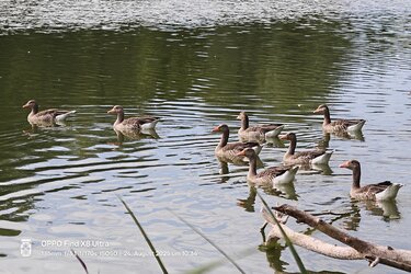 IMG_20250824_144916.jpg