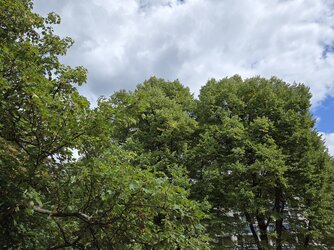 20250824_144312.jpg