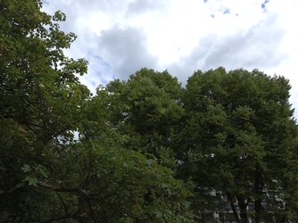 20250824_144559.jpg