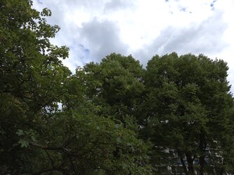 20250824_144611.jpg