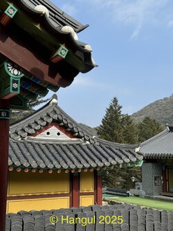 IMG_7373.jpeg