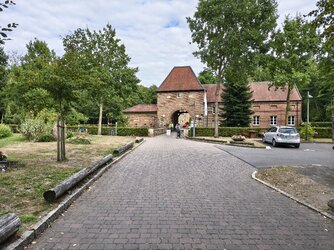 IMG_20250824_165320834_HDR.jpg