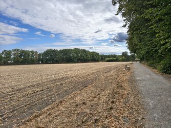 IMG_20250824_161310248_HDR.jpg
