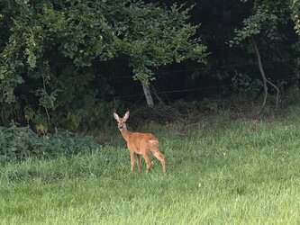IMG_20250824_185244.jpg
