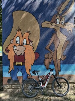 IMG_20250821_123201.jpg
