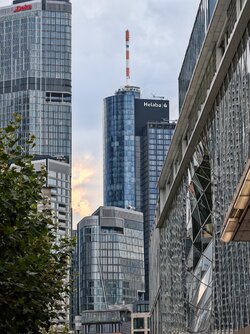 IMG_20250823_181516.jpg