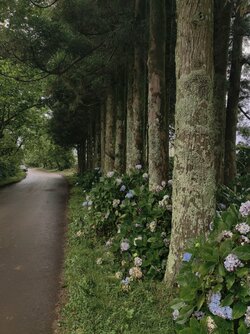 IMG_20250824_193948.jpg