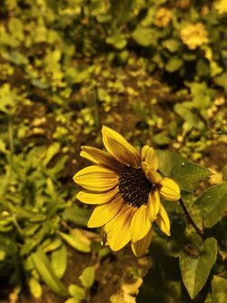 IMG_20250824_211152870.jpg