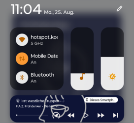 Screenshot_20250825-110413.Dual-SIM-Einstellungen.png