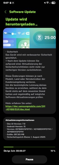 Screenshot_20250825_132718_Software update.jpg