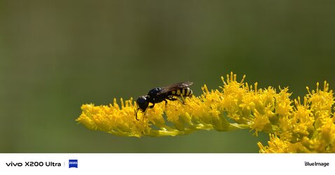 IMG_20250825_122951.jpg