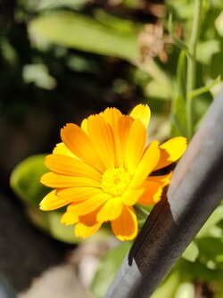 IMG_20250825_162442909.jpg