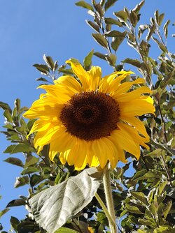 IMG_20250825_162303654.jpg