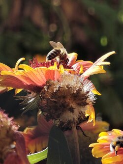 IMG_20250825_162341196.jpg
