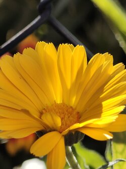 IMG_20250825_162324619.jpg