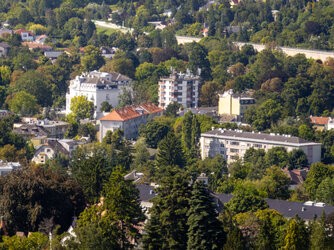 IMG_20250825_105523-Topaz.jpg