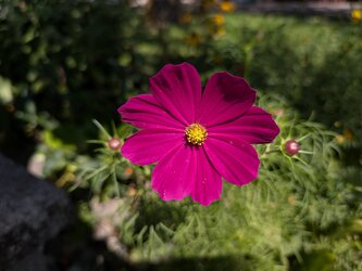 PXL_20250825_103451672 (1).jpg
