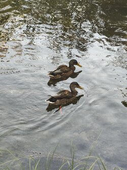IMG_20250825_183633229~2.jpg