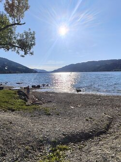 IMG_20250825_180841307.jpg