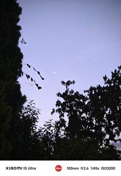 IMG_20250824_154113.jpg
