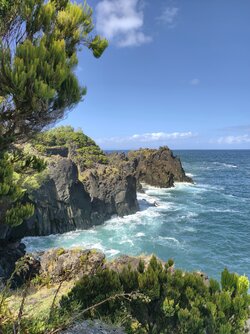 IMG_20250825_161609.jpg