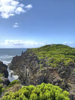 IMG_20250825_164538.jpg