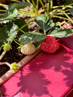 IMG_20250826_115110_1.jpg