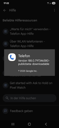 Screenshot_20250826_172228_Google Play services.jpg