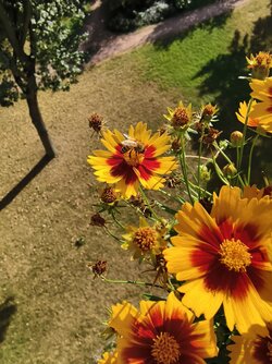 IMG_20250826_170106.jpg
