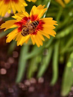 IMG_20250826_170123.jpg