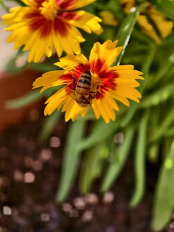 IMG_20250826_170125.jpg