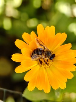 IMG_20250826_155201617~2.jpg