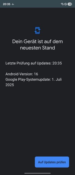 Screenshot_20250826_203546_Google Play Store.jpg