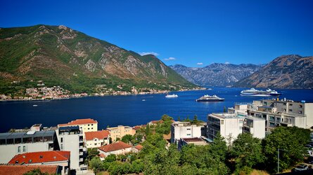 IMG_20250730_091637.jpg