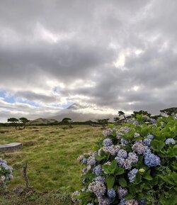 IMG_20250826_185447.jpg