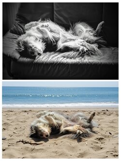 20250827_102716-COLLAGE.jpg
