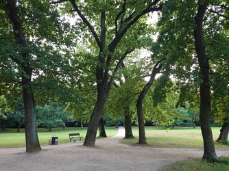20250827_190059.JPG