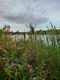 20250827_191327.JPG