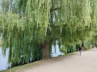 20250827_190550.JPG