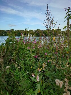 20250827_185219.JPG