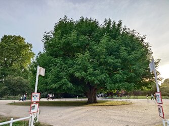 20250827_192436.JPG