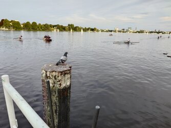 20250827_192654.JPG