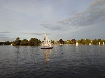 20250827_193631.JPG