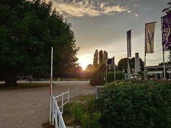20250827_194825.JPG